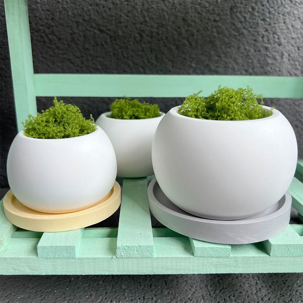 Large Silicone Planter Molds C - Potsticker Mold reseña y precio