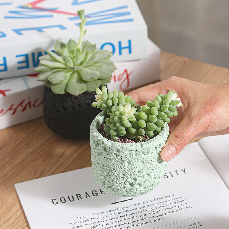Creative Round Concrete Flower - Potsticker Mold reseña y precio