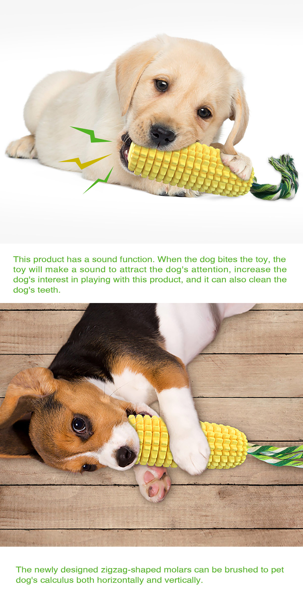 Hot Selling Large Size Corn Sh - Corn Dog Stick reseña y precio